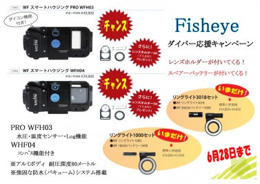 fisheye スマートブログ