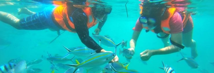 Malaysia_KotaKinabalu_Snorkeling (2)-min