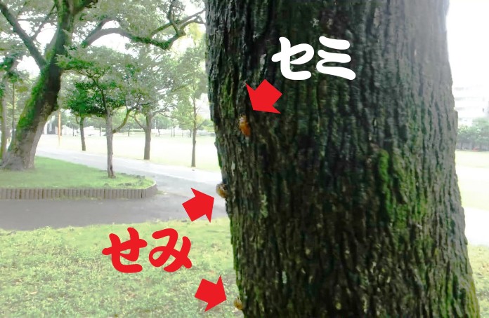 DSCF1584_Moment.jpg