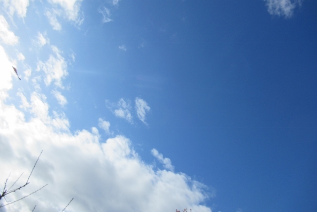 冬の青空IMG_0131 (640x427)
