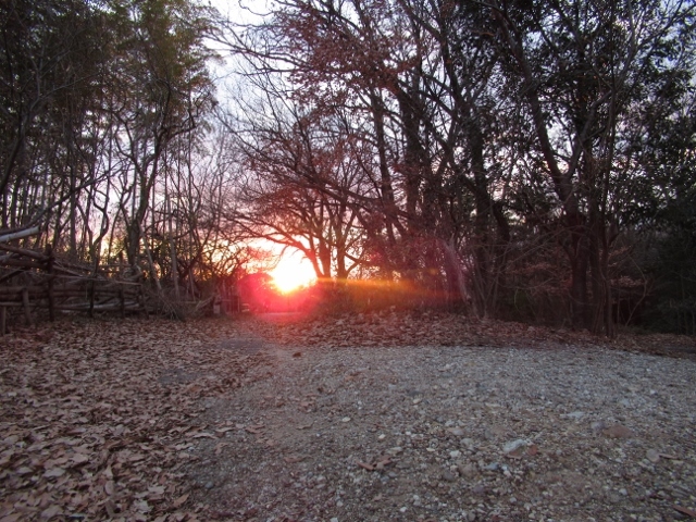 寒の夕陽①IMG_0180 (640x480)