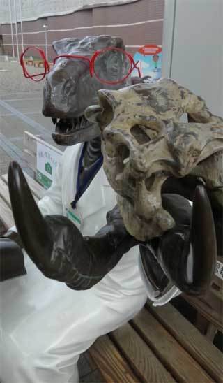 20190608_かつやま恐竜の森_福井県立恐竜博物館_011