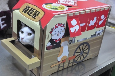 猫麺屋