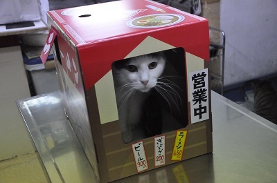 猫麺屋2