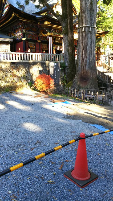 触るとご利益があるといわれている神木は、周囲が工事中のため残念ながら立入禁止になっていました。