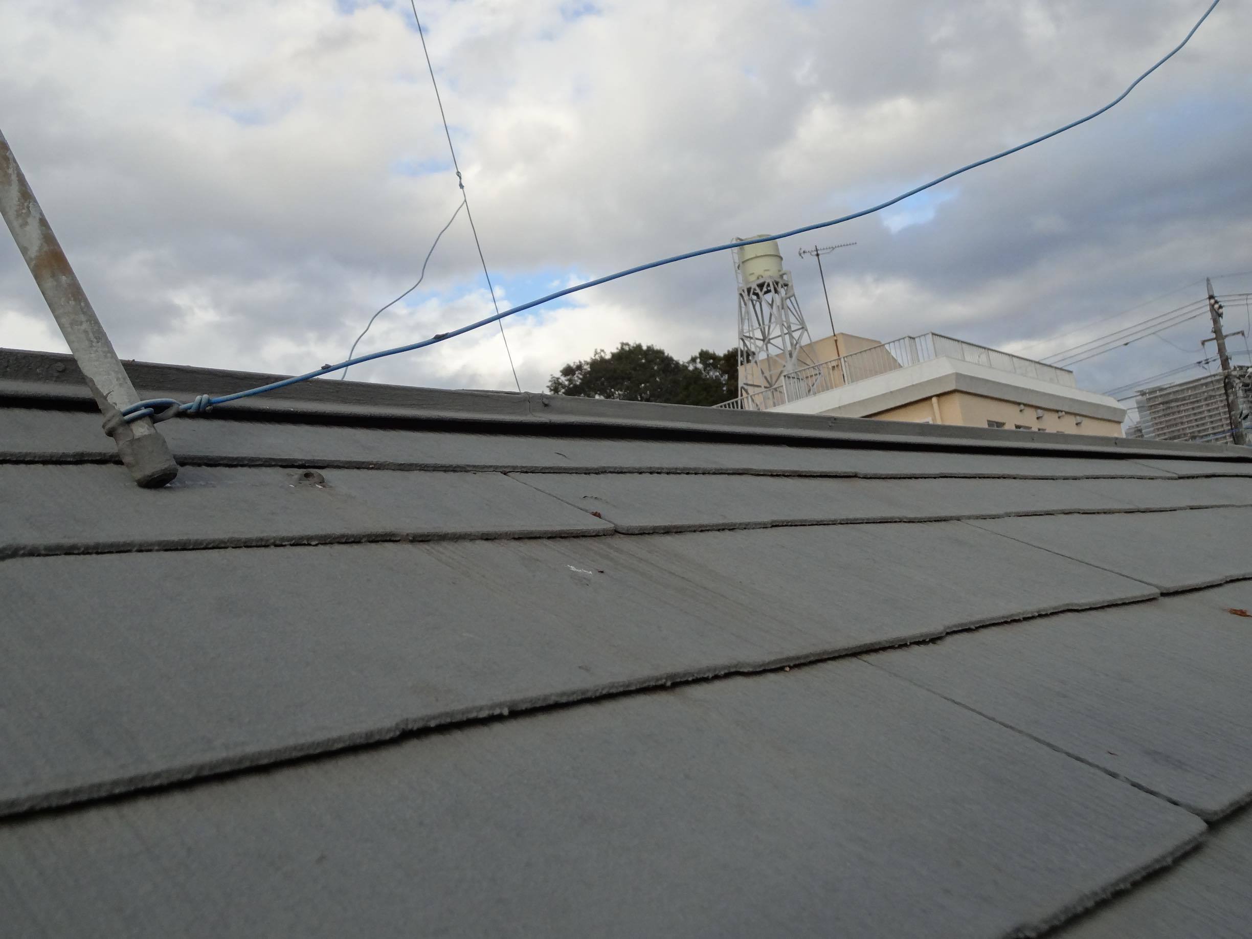 屋根からアンテナを撤去した 今日の猫たちblog版