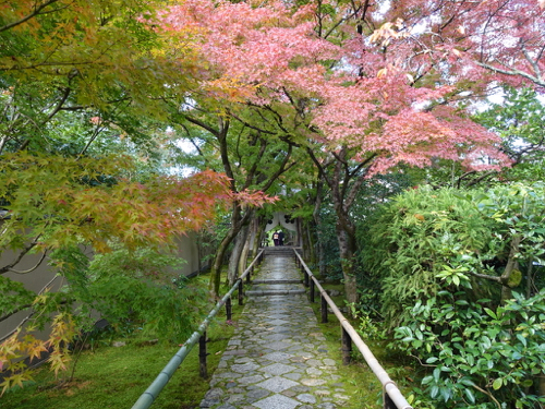 DSC09207.jpg