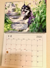 ５月カレンダー１