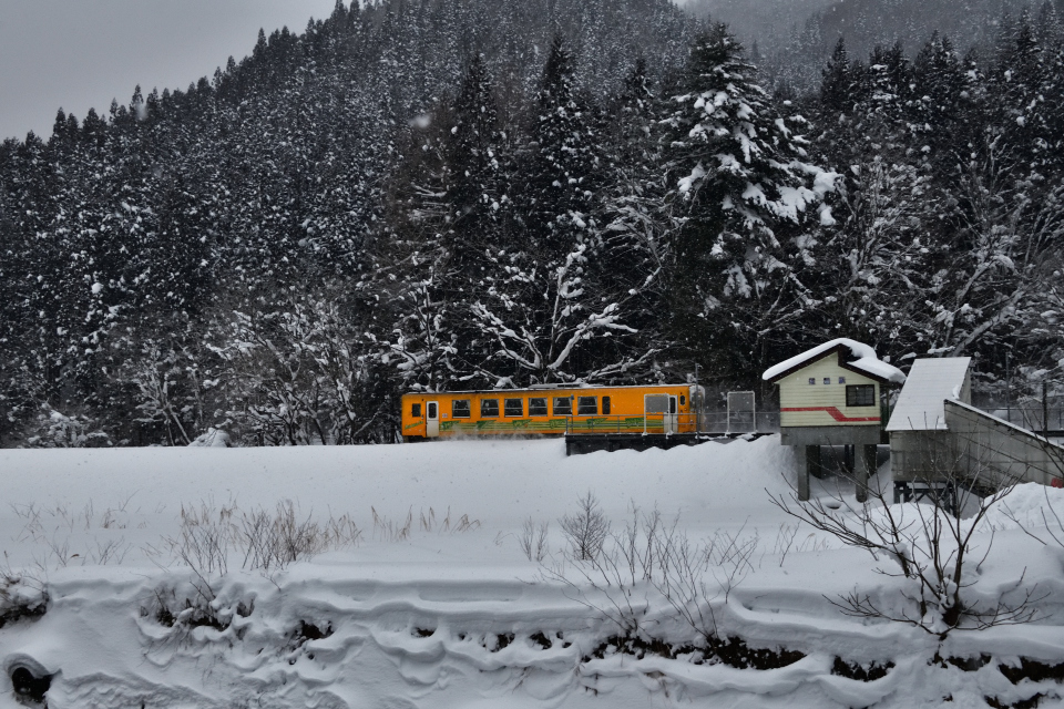 DSC_1162_c.jpg