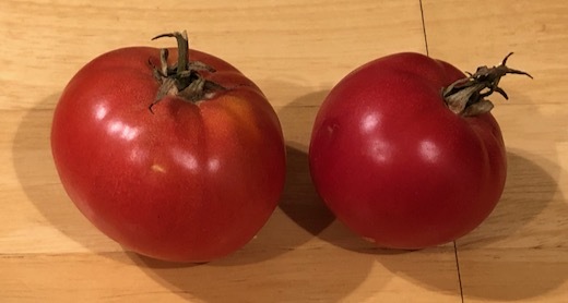 トマトの追熟b - 9