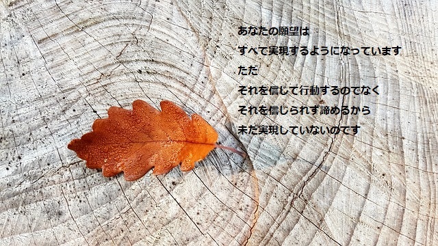 autumn-2815427_640.jpg