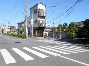 DSCN6545.jpg