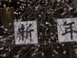 竹駒神社の四季桜