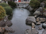 竹駒神社の池に張った氷