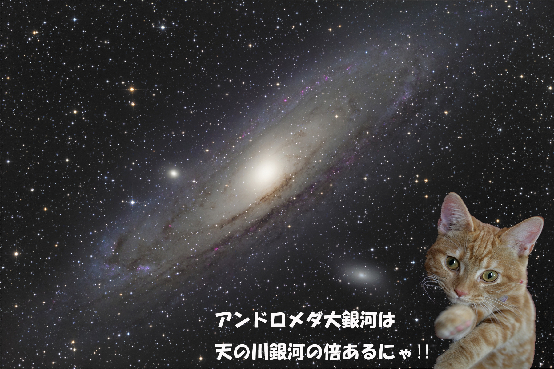 ももちゃん解説M31