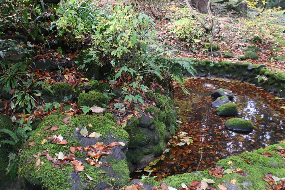 導水されていた池
