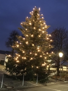 ちょっと用があって出かけた町の広場に立っていた クリスマスツリー