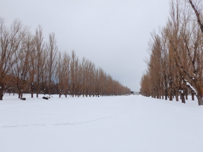 DSCN1217.jpg