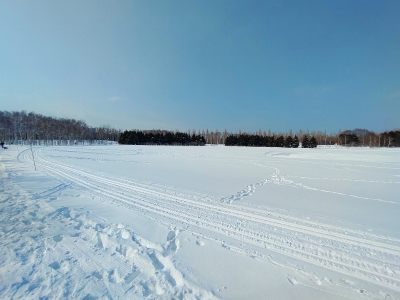 DSC_0036.jpg