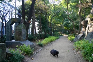 日比谷公園の長毛黒猫