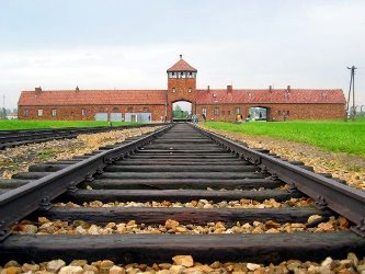 Auschwitz-birkenau-main_track.jpg