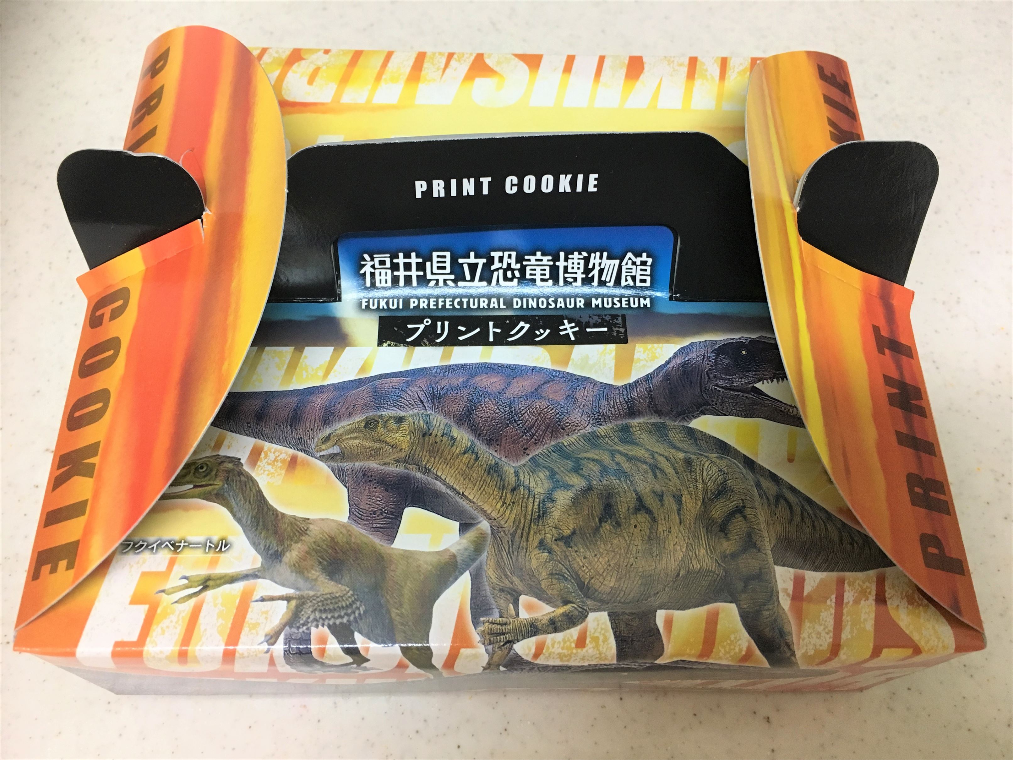 福井県立恐竜博物館 ピンバッジ 2023
